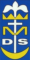 dsm1